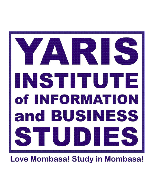 company profile preview